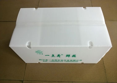 Zusammenklappbare Plastikkästen mit Umluftlöchern für das Transportieren des Gemüses