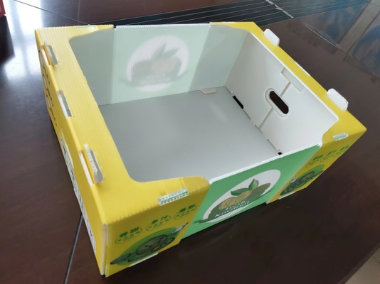 Wiederverwendbare Plastik-Fruchtbox mit individueller Kapazität und Lüftung mit Farbdruck