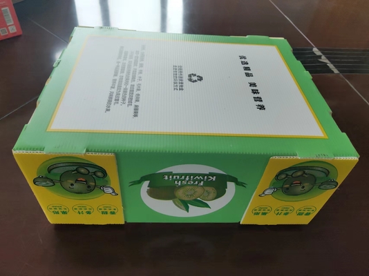 Wiederverwendbare Plastik-Fruchtbox mit individueller Kapazität und Lüftung mit Farbdruck